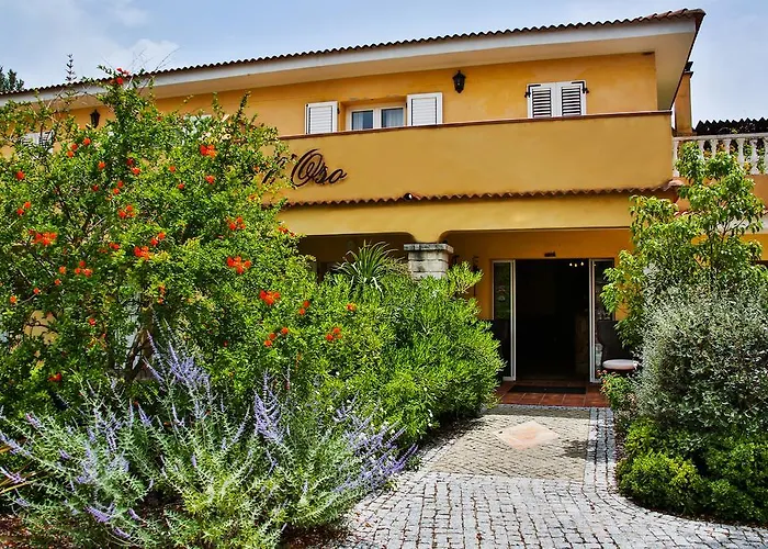 Du Pont De L'oso לצ'י