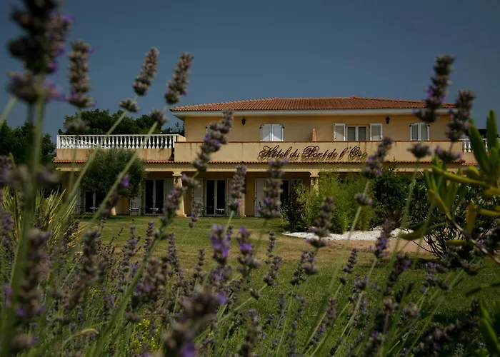 Du Pont De L'oso מלון 3*