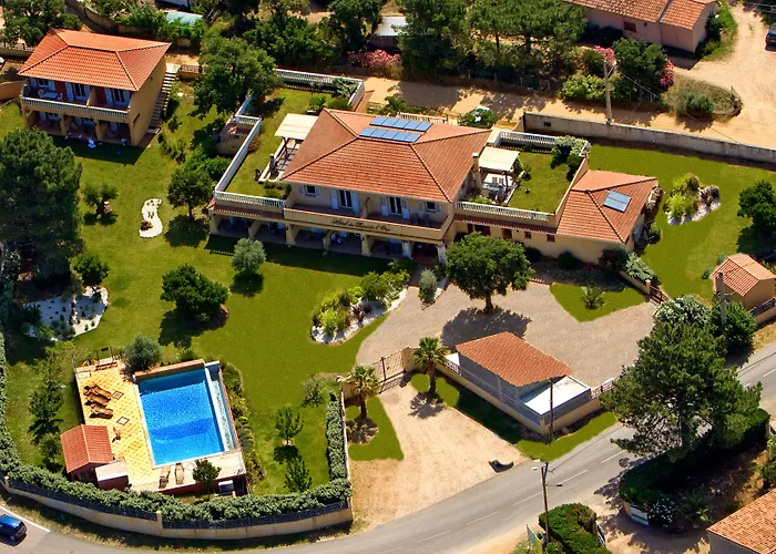 Du Pont De L'oso לצ'י