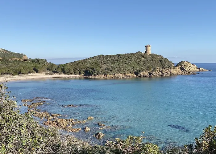 Du Pont De L'oso לצ'י