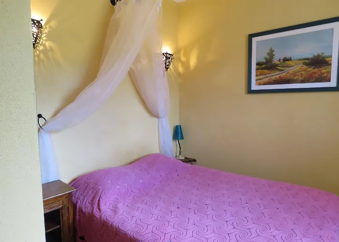 Du Pont De L'oso לצ'י